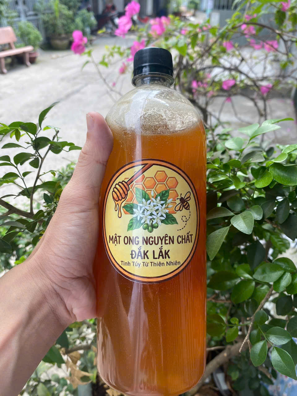 Mật Ong Hoa Cà Phê Đắk Lắk Nguyên Chất (Chai 1 Lít Siêu Tiết Kiệm)